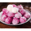 Forma redonda de piel morada de ajo seco orgánico de Yunnan